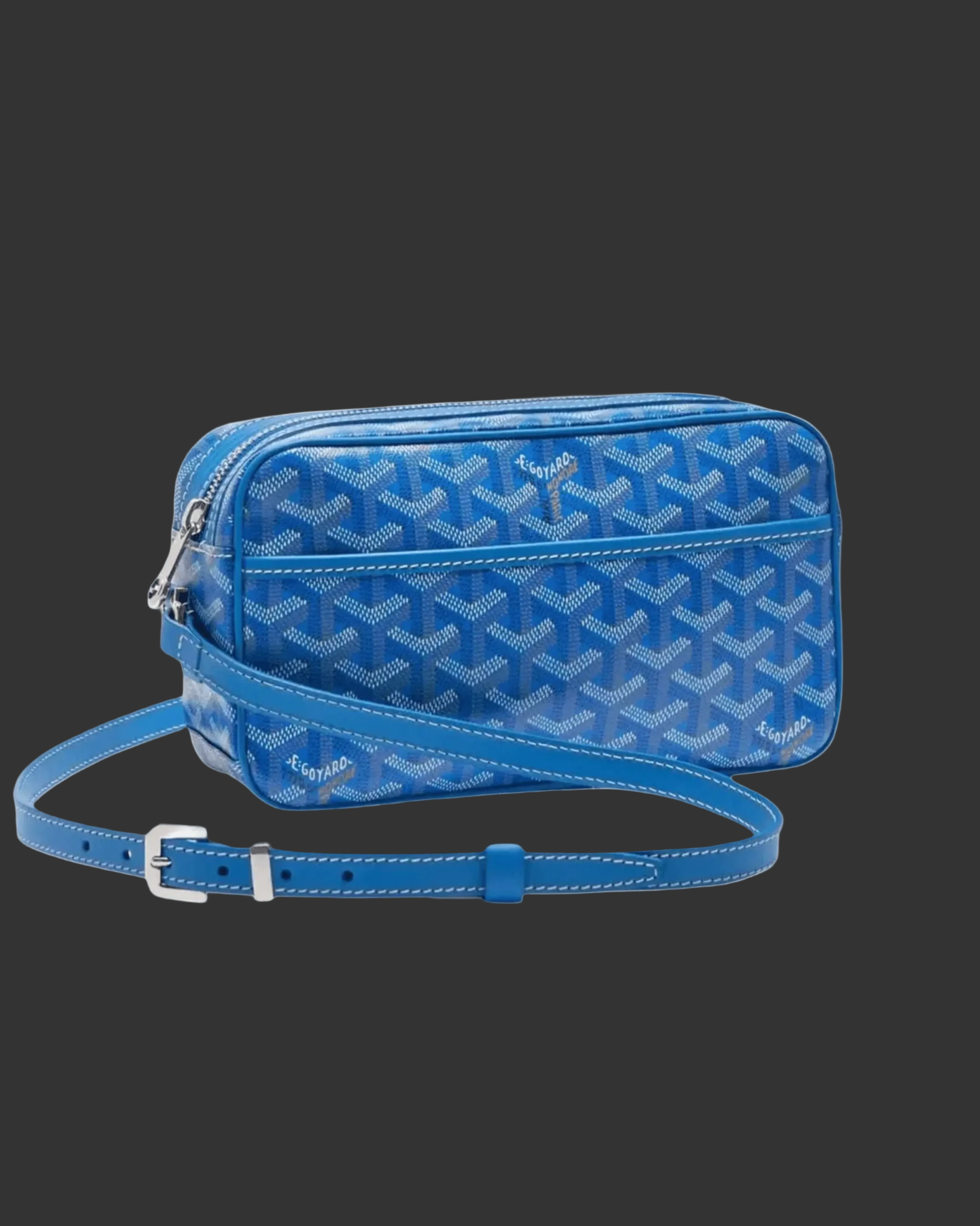 Goyard Cap-Vert PM Bag - "Black"